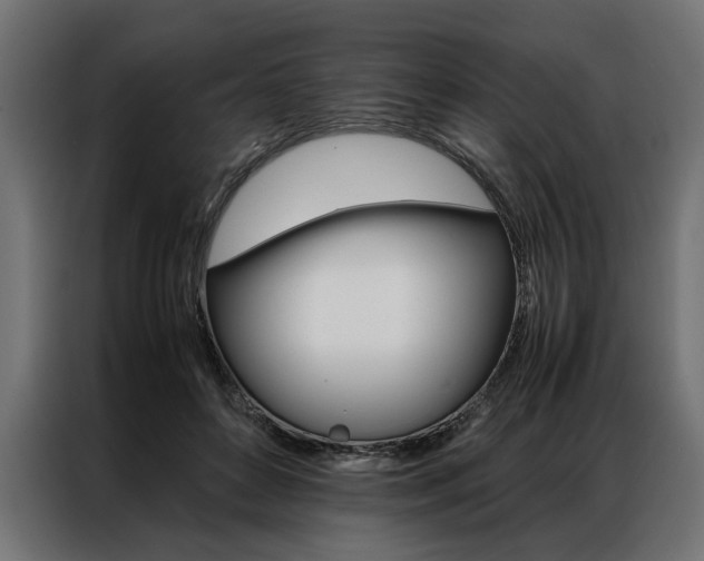 X0000086940504200704161038