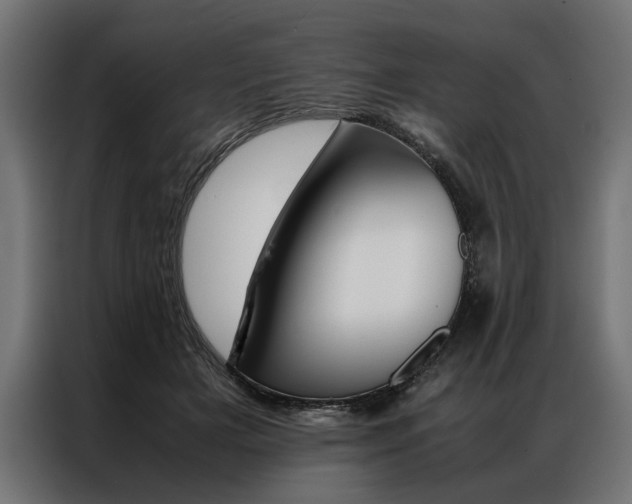 X0000086940505200704161038