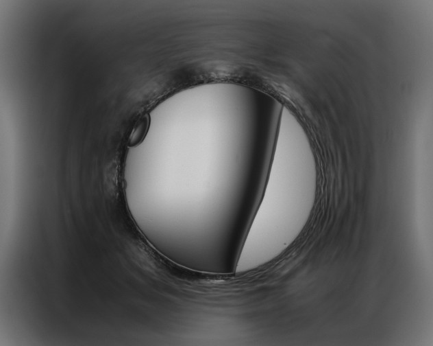 X0000086940509200704161038