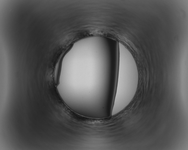 X0000086940513200704161038