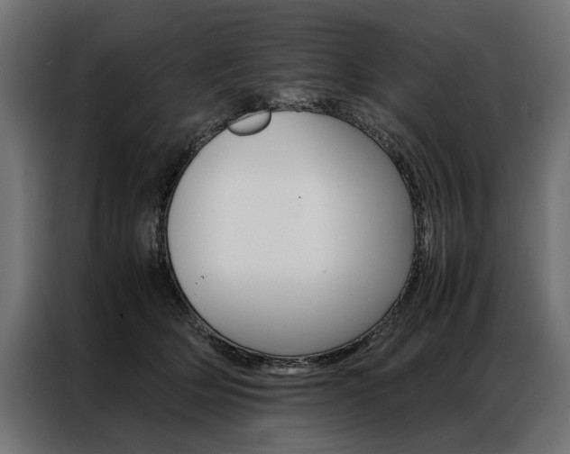 X0000086940514200704161038