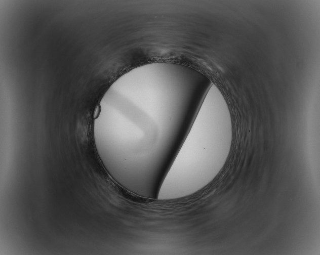 X0000086940515200704161038