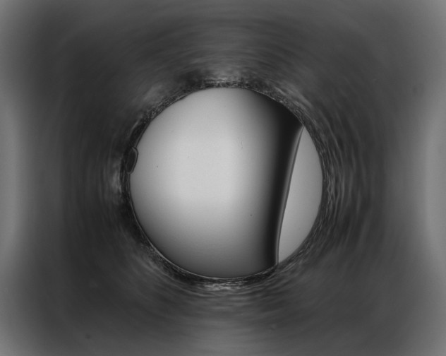 X0000086940516200704161038