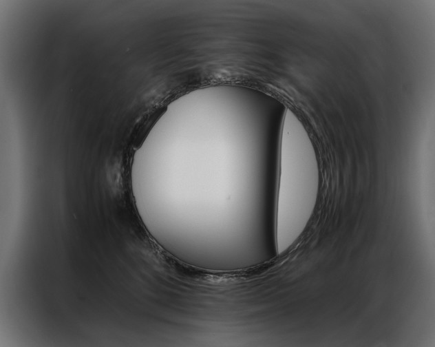 X0000086940520200704161038