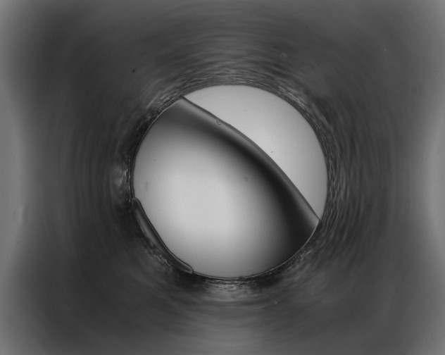 X0000086940521200704161038