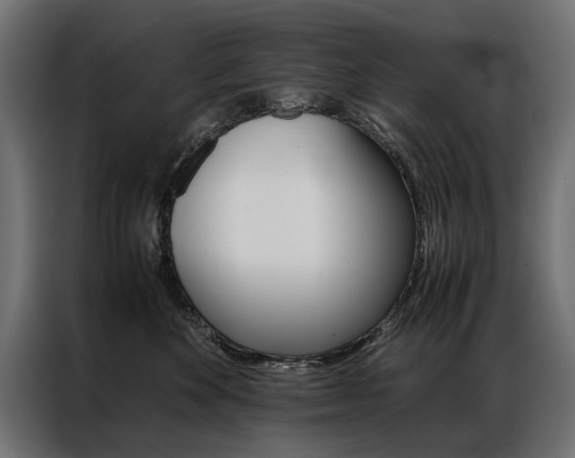 X0000086940524200704161038
