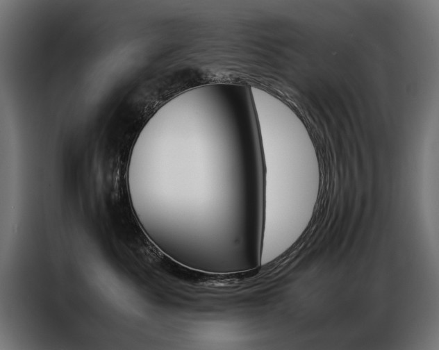 X0000086940525200704161038