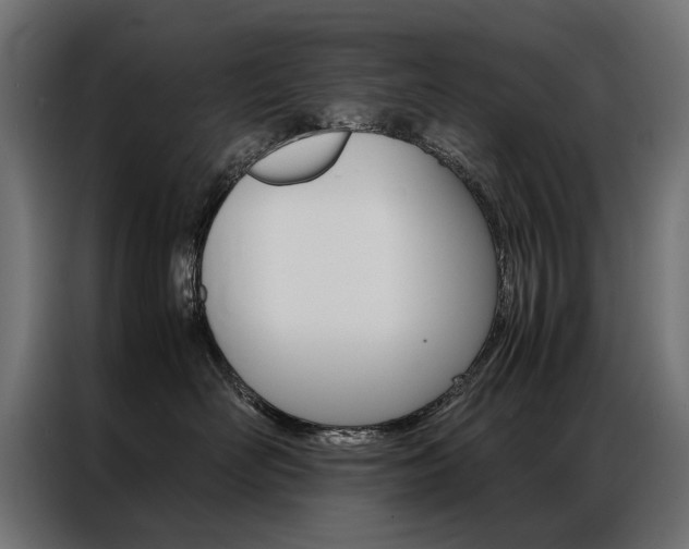 X0000086940526200704161038