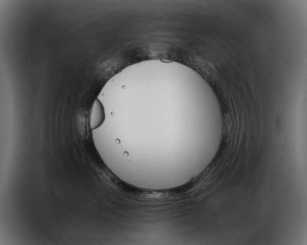 X0000086940527200704161038