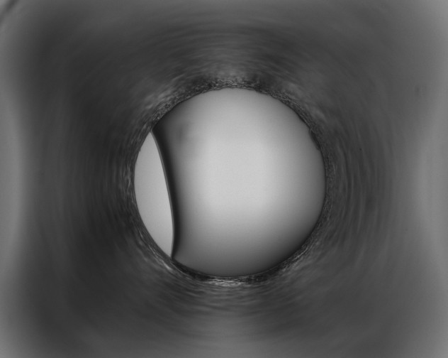 X0000086940528200704161038