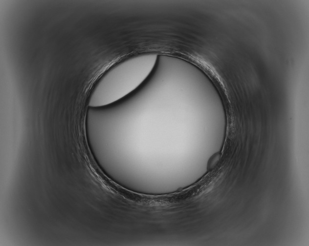 X0000086940529200704161037