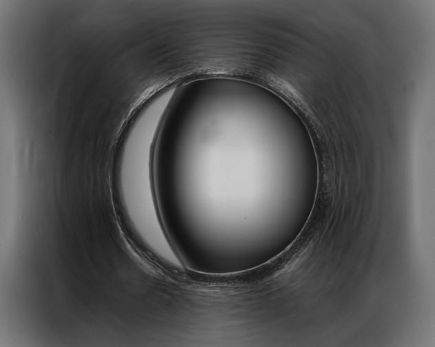 X0000086940530200704161037