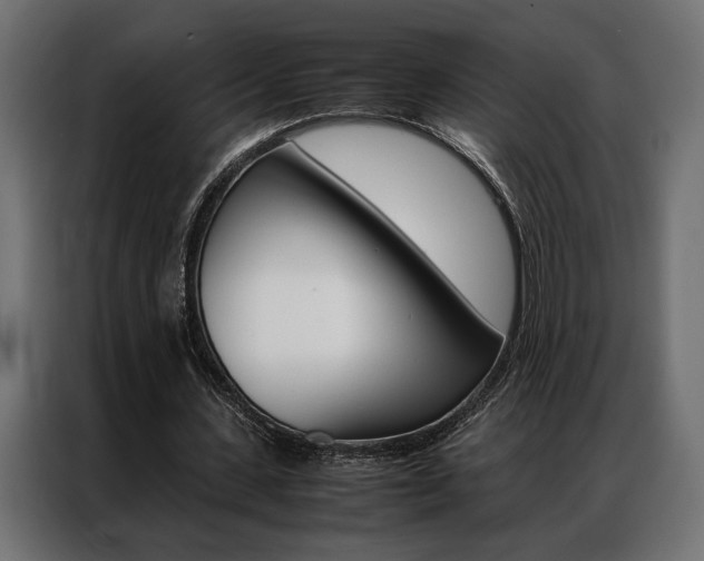 X0000086940531200704161037