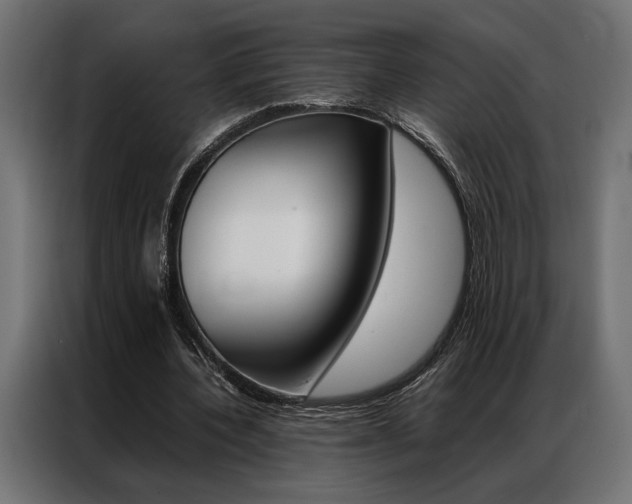 X0000086940532200704161037
