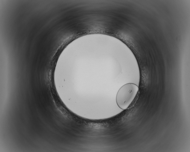 X0000086940534200704161037
