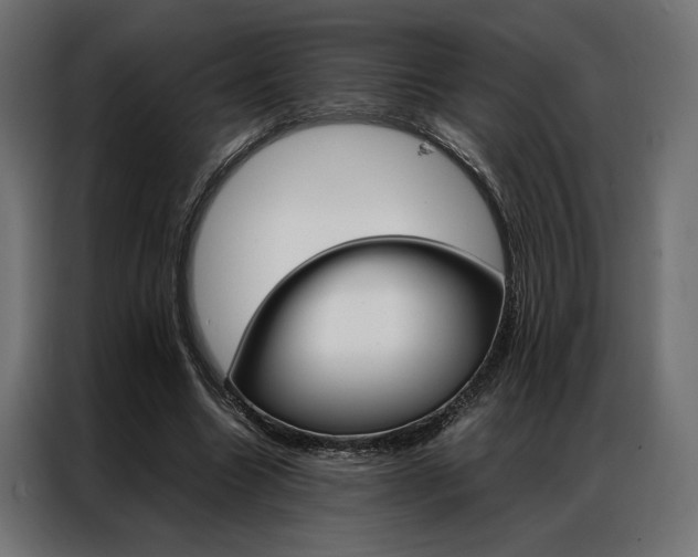 X0000086940538200704161037