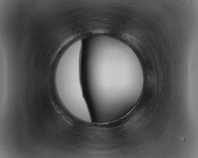 X0000086940539200704161037