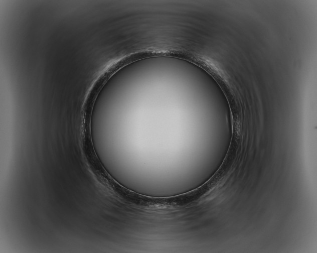 X0000086940540200704161037