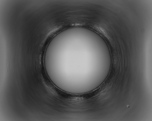 X0000086940543200704161037