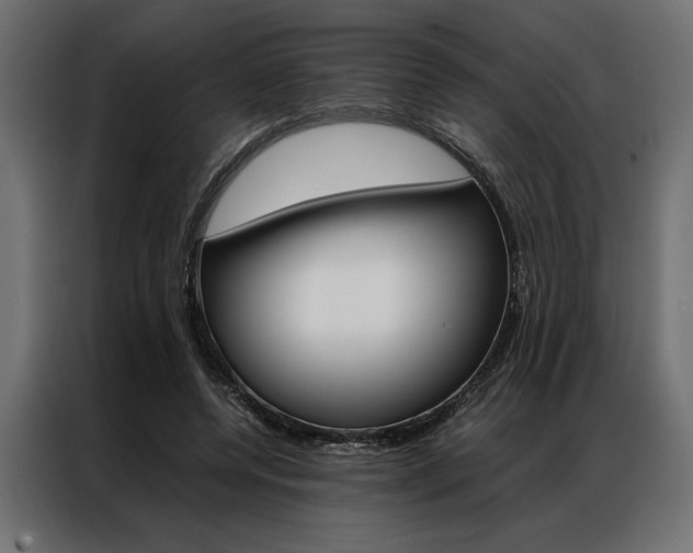 X0000086940544200704161037