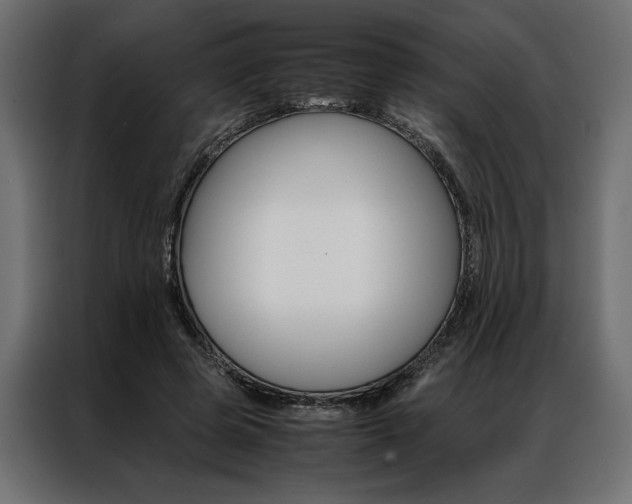 X0000086940545200704161037