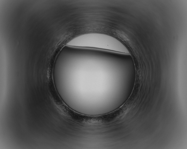 X0000086940546200704161037