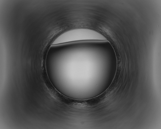 X0000086940548200704161037
