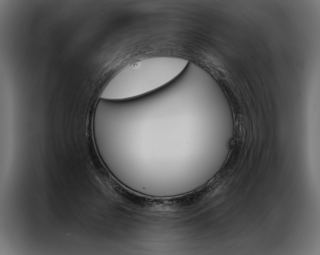 X0000086940550200704161037