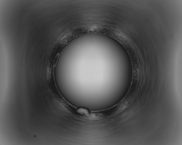 X0000086940558200704161037