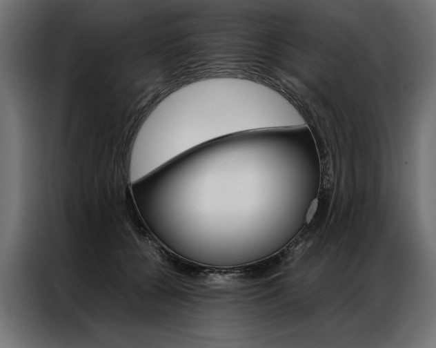X0000086940560200704161037