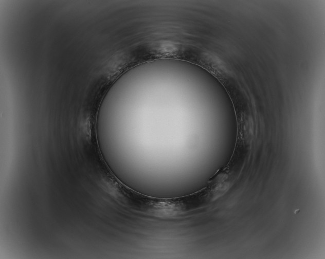 X0000086940562200704161037