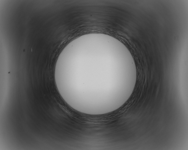 X0000086940564200704161037