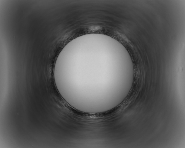 X0000086940565200704161037