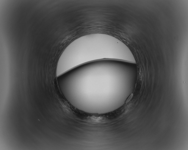 X0000086940570200704161038
