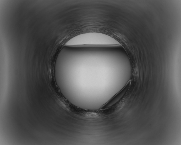 X0000086940572200704161038