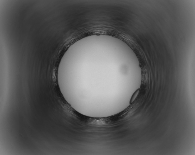 X0000086940573200704161038
