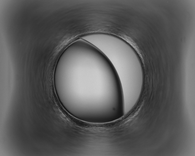 X0000086940577200704161037