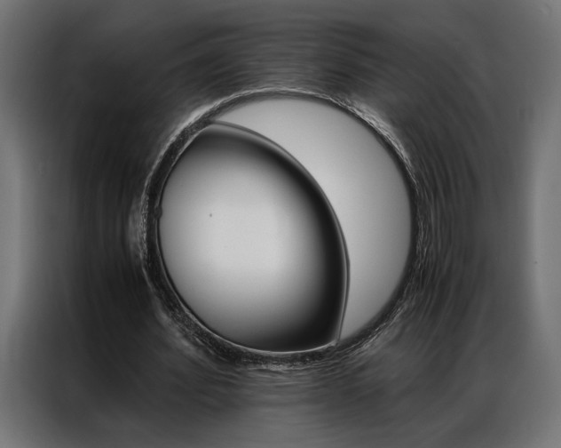 X0000086940580200704161037