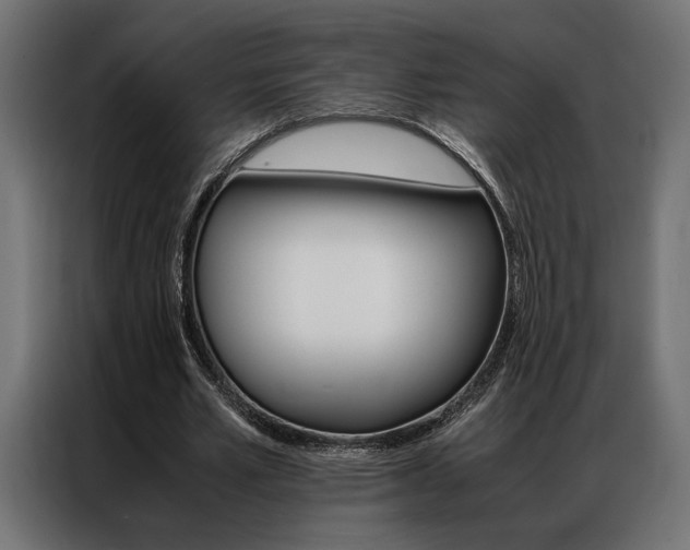 X0000086940581200704161037