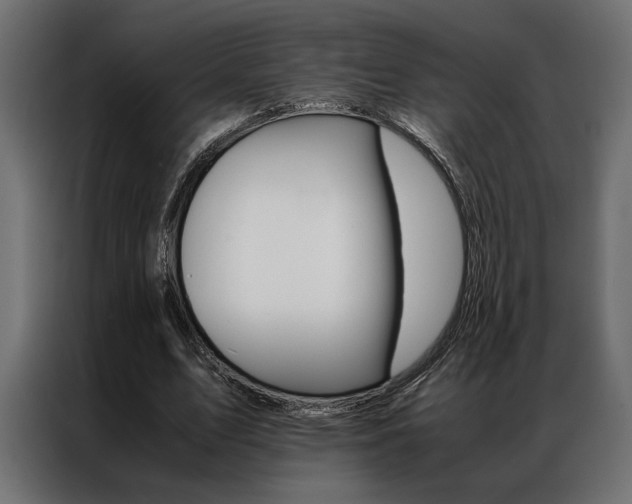 X0000086940583200704161037