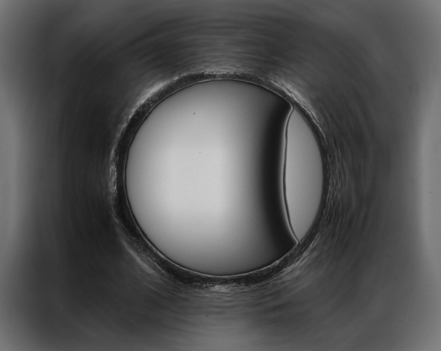 X0000086940584200704161037