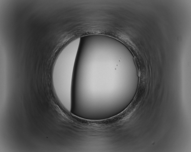 X0000086940585200704161037