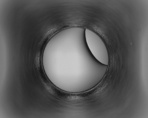 X0000086940590200704161037