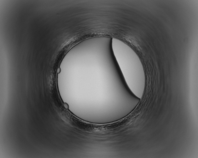 X0000086940591200704161037