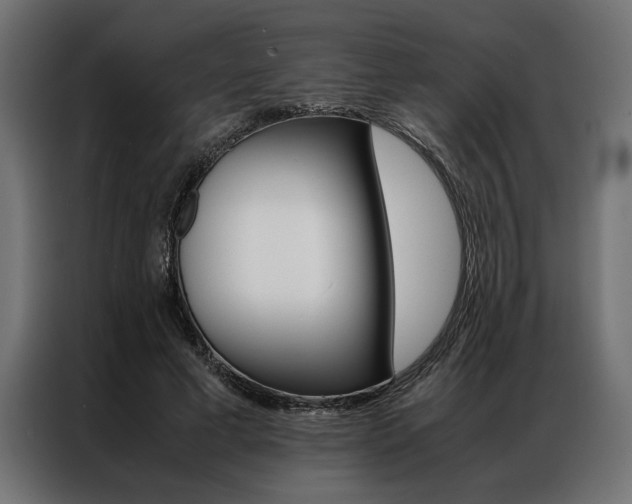 X0000086940593200704161037