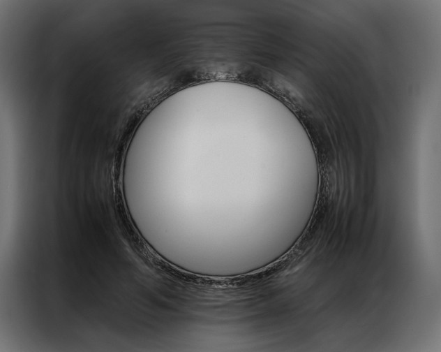 X0000086940594200704161037