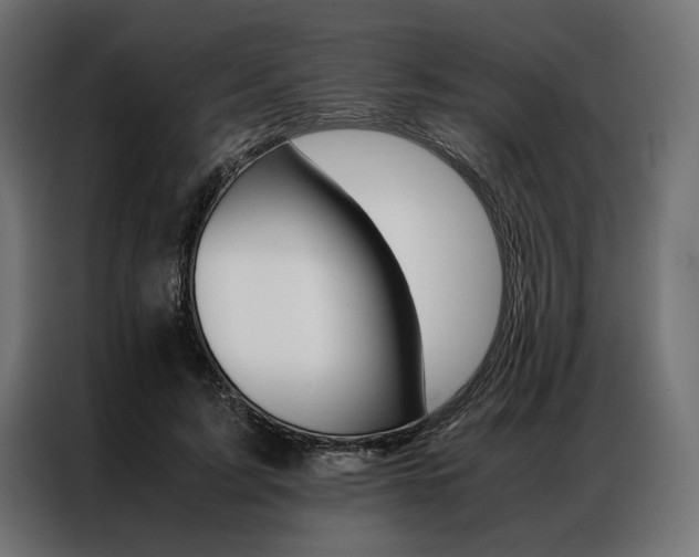 X0000086940595200704161037