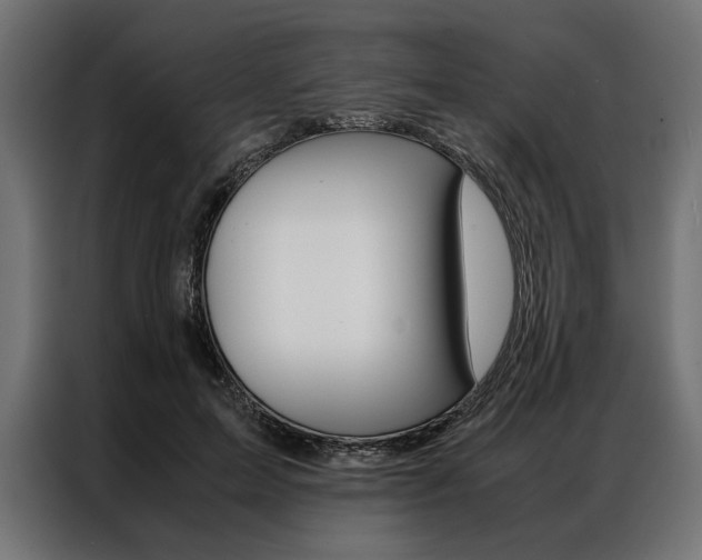 X0000086940599200704161037