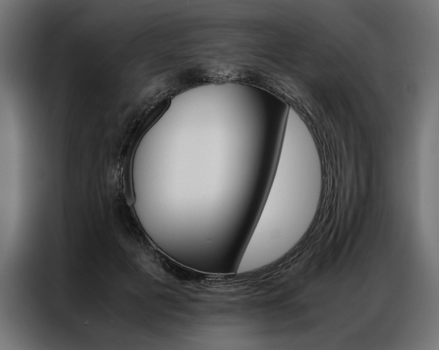 X0000086940601200704161037