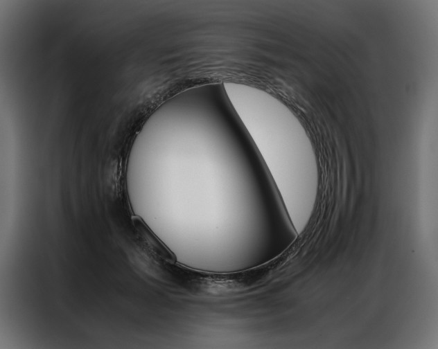 X0000086940605200704161037